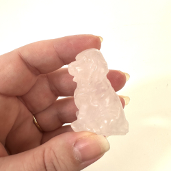 Rosakvarts, labrador hund 