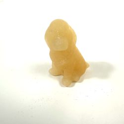 Gul Calcit, labrador hund 