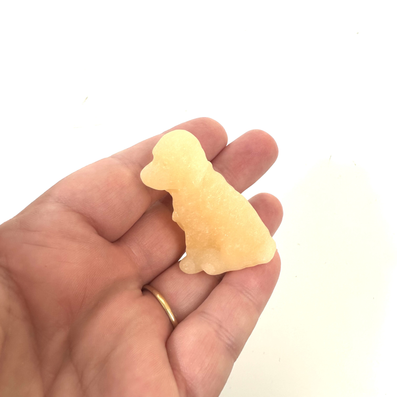 Gul Calcit, labrador hund 