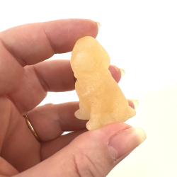 Gul Calcit, labrador hund 