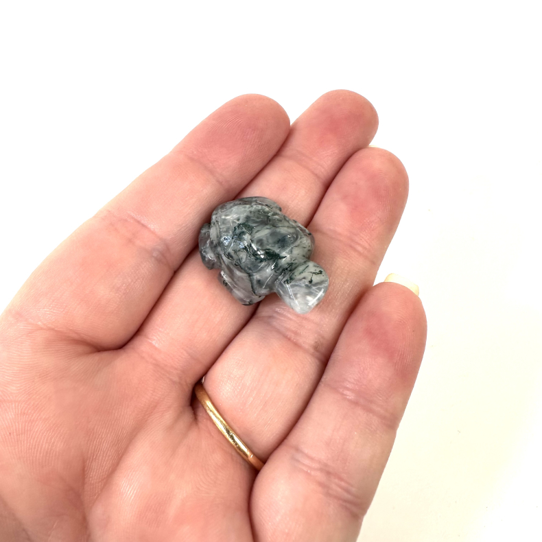 Mos agat, skildpadde mini 