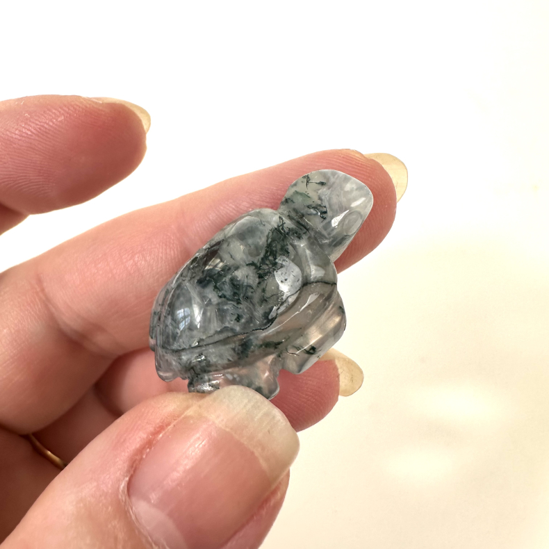 Mos agat, skildpadde mini 