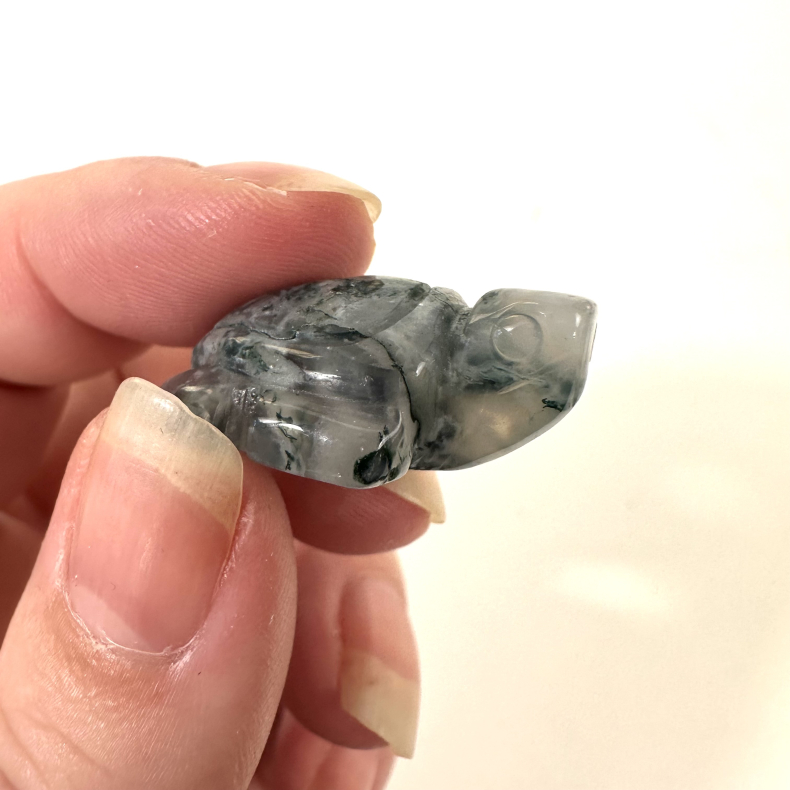 Mos agat, skildpadde mini 