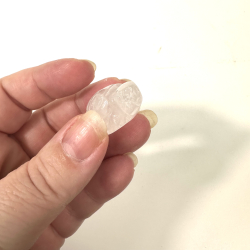 Bjergkrystal, skildpadde mini 