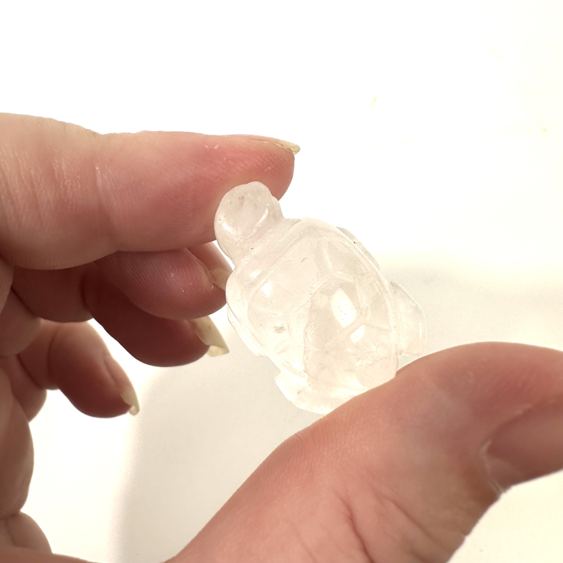 Bjergkrystal, skildpadde mini 