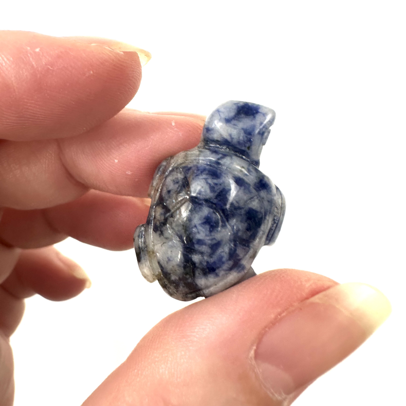 Sodalit, skildpadde mini 