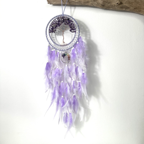 Ametyst i dr�mmefanger med krystaller i chakra farver 