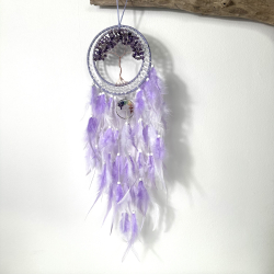 Ametyst i drmmefanger med krystaller i chakra farver 