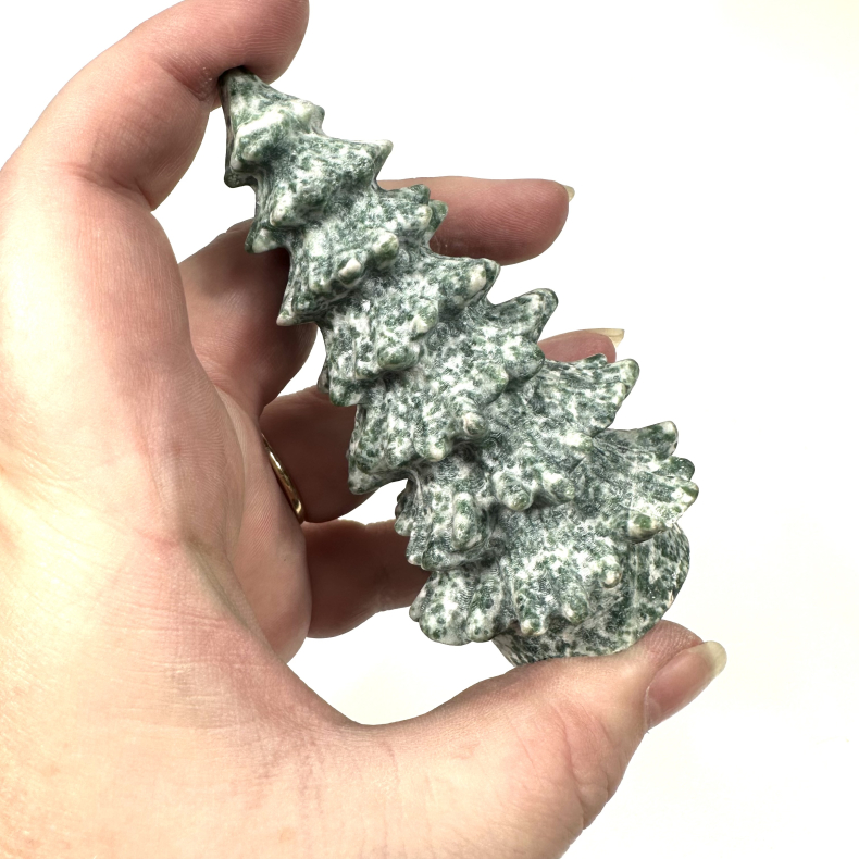 Mos Agat, juletr stort 