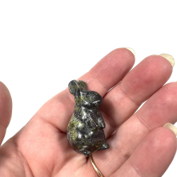 Afrikansk blodsten kanin 