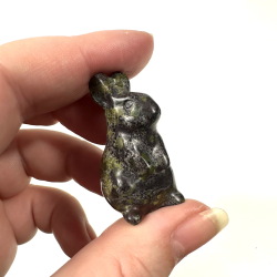 Afrikansk blodsten kanin 