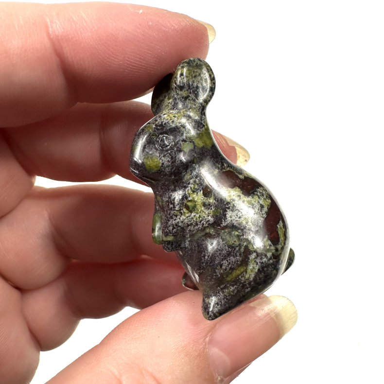 Afrikansk blodsten kanin 