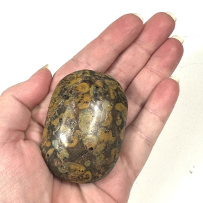 Regnskovs Jaspis, Palmstone 