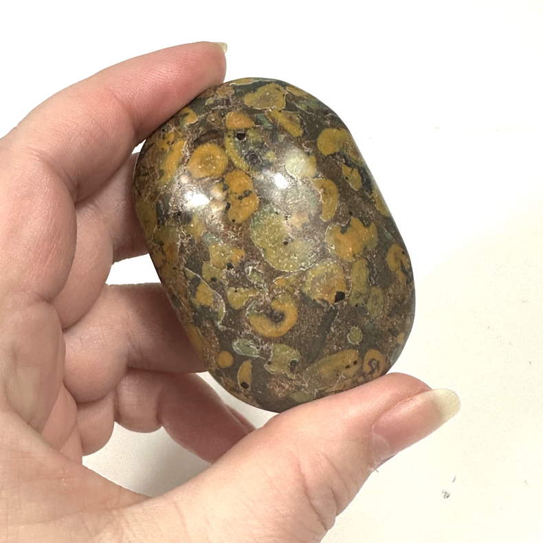 Regnskovs Jaspis, Palmstone 