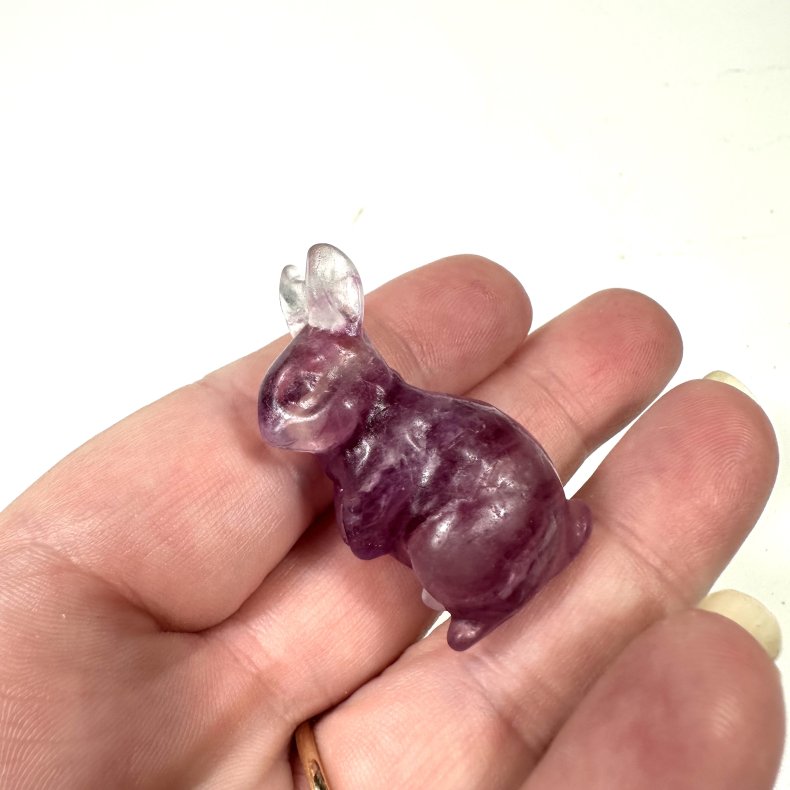 Lilla Fluorit, kanin 