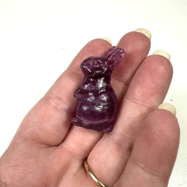 Lilla Fluorit, kanin 