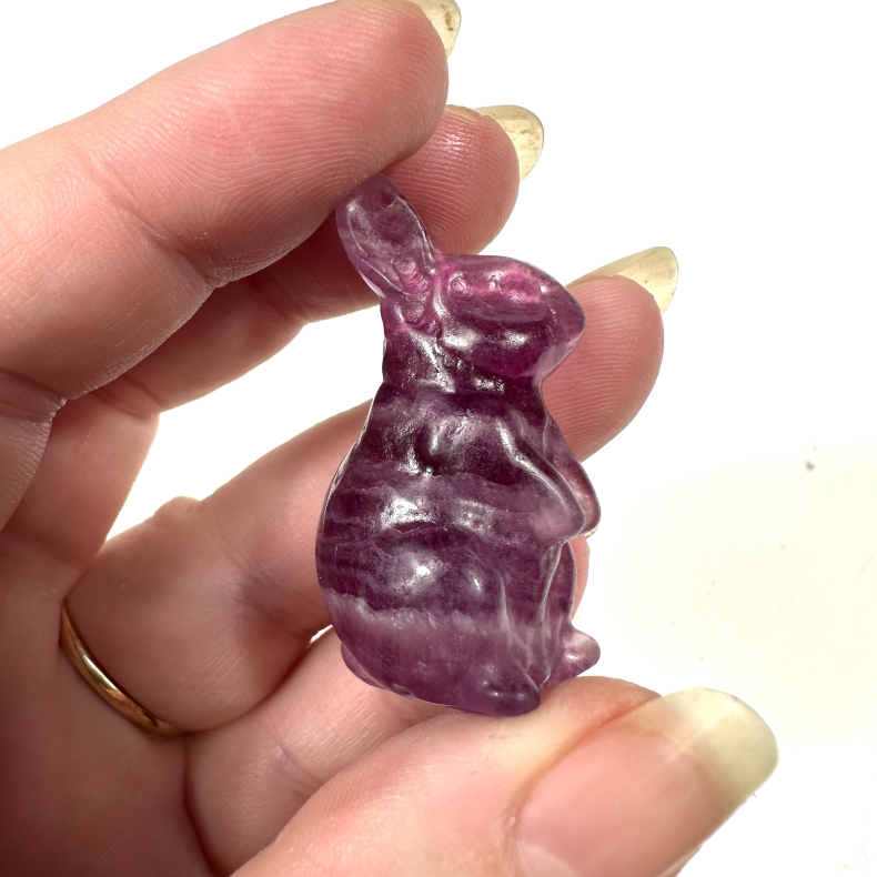 Lilla Fluorit, kanin 