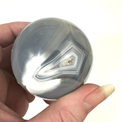 Spkhugger Agat, kugle 