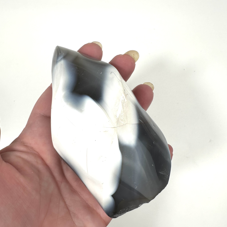 Spkhugger Agat, flamme 