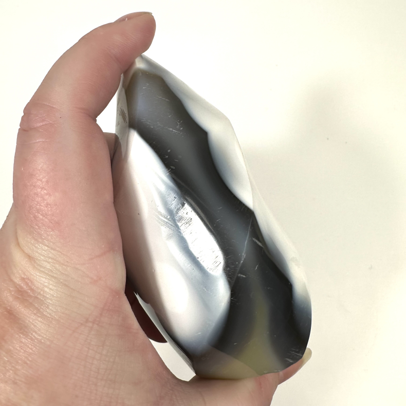 Spkhugger Agat, flamme 