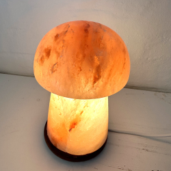 Saltlampe, svamp 