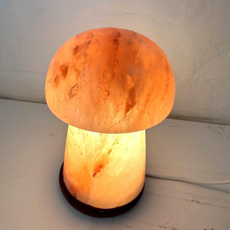 Saltlampe, svamp 