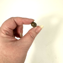 Gul Pietersit, Lommesten 