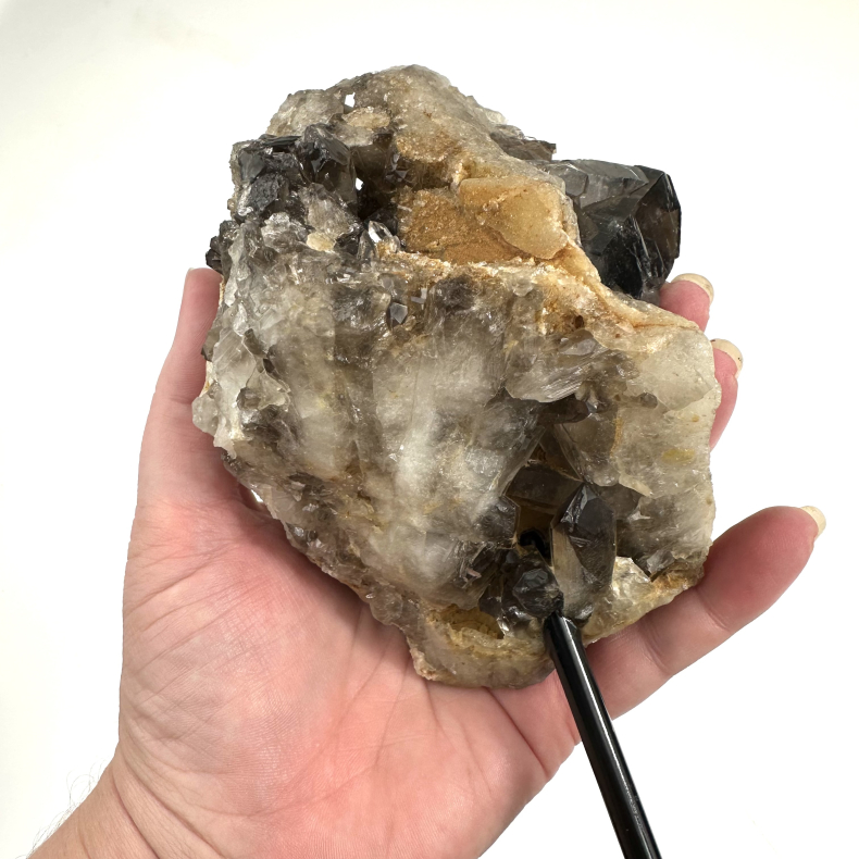 Rgkvarts klynge p stativ B