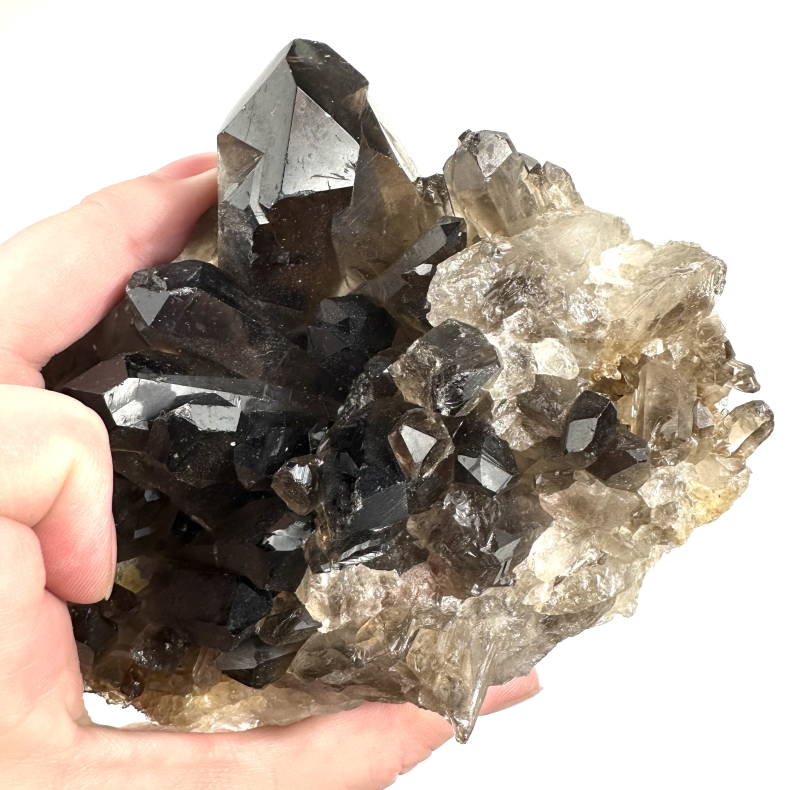 Rgkvarts klynge p stativ B