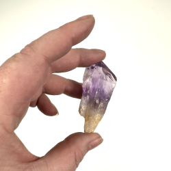 Ametyst Tand Small 