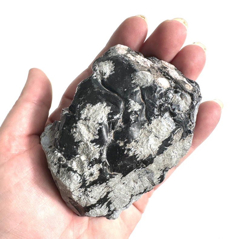 Snefnug Obsidian r A