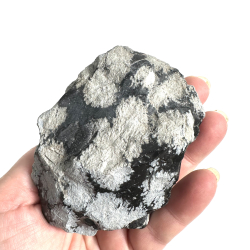 Snefnug Obsidian r A