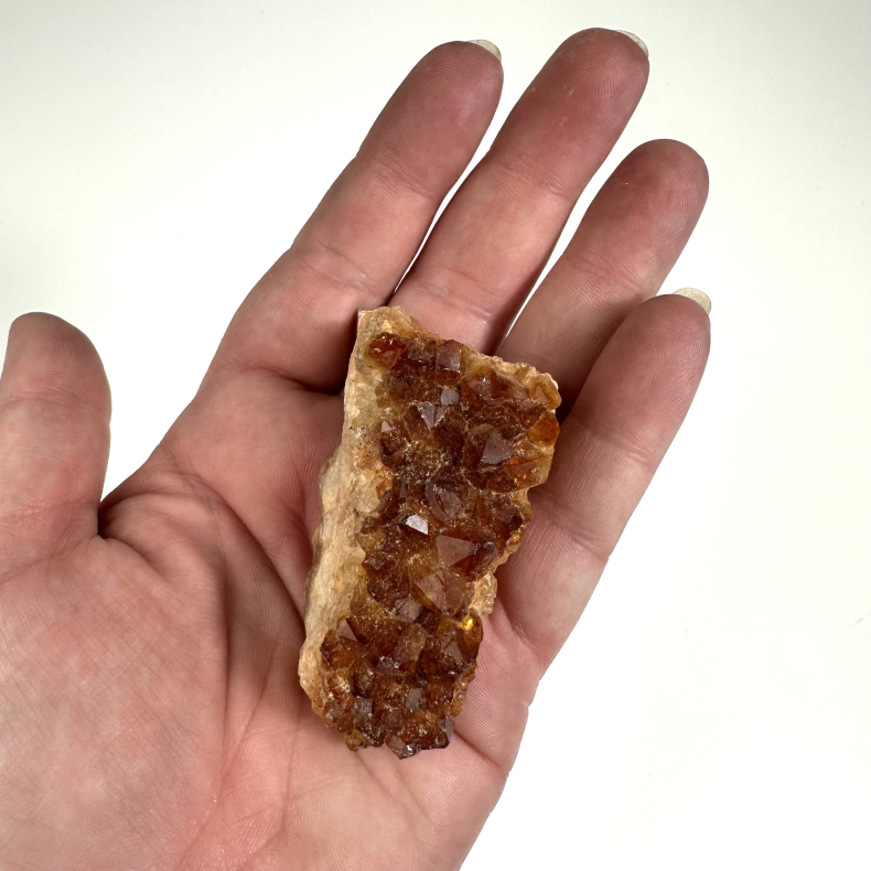 Brndt Citrin klynger sm 