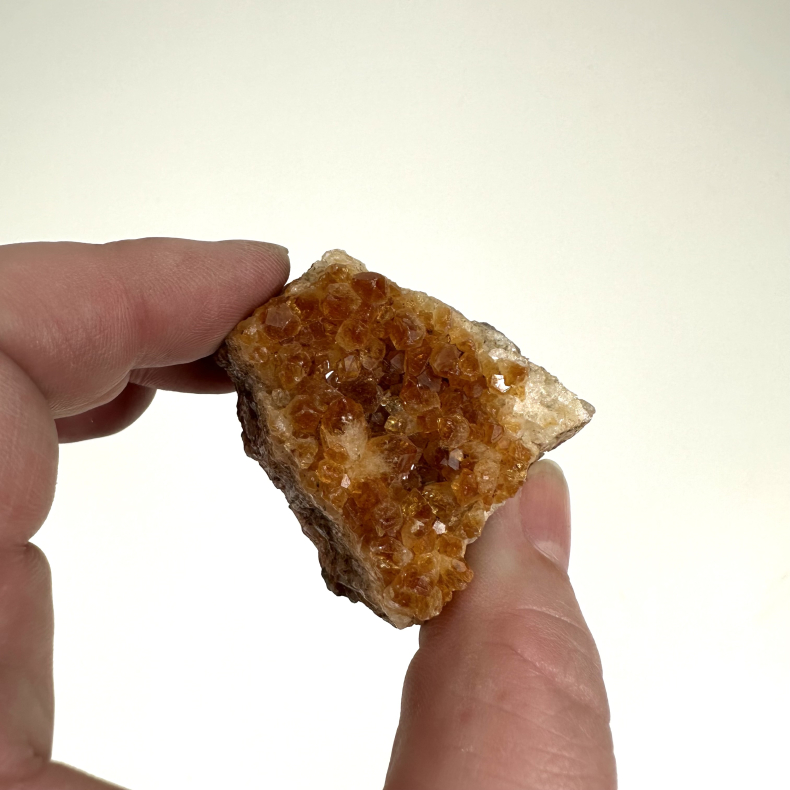 Brndt Citrin klynger sm 