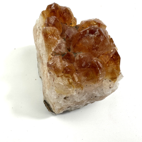 Brndt Citrin klynge D 