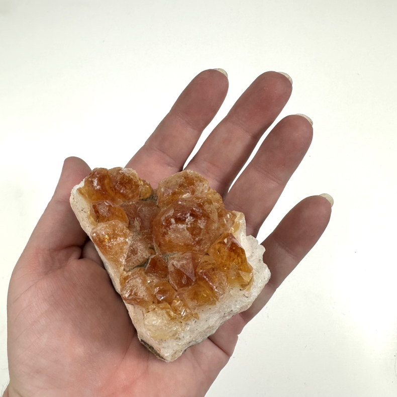 Brndt Citrin klynge D 