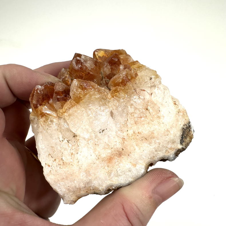 Brndt Citrin klynge D 