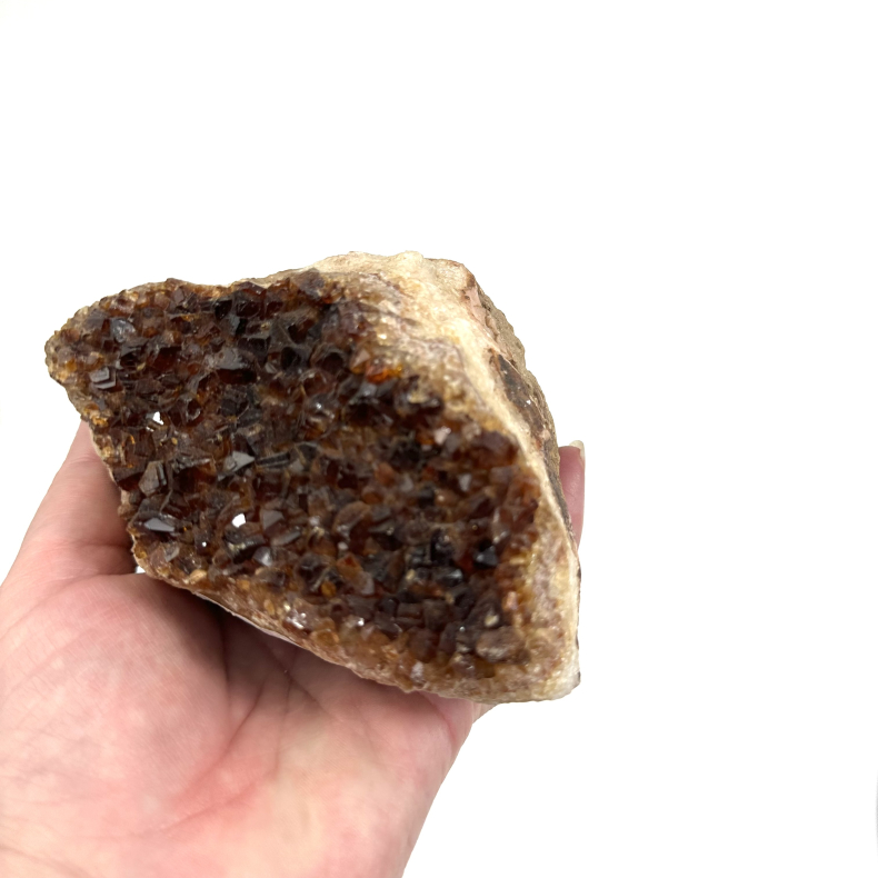 Brndt Citrin klynge C 