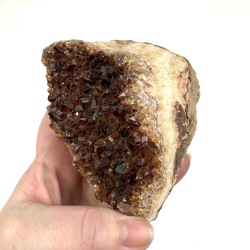 Brndt Citrin klynge C 