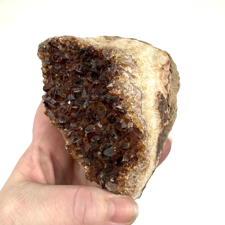 Brndt Citrin klynge C 