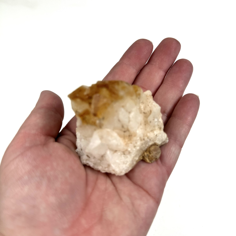 Brndt Citrin klynge B 