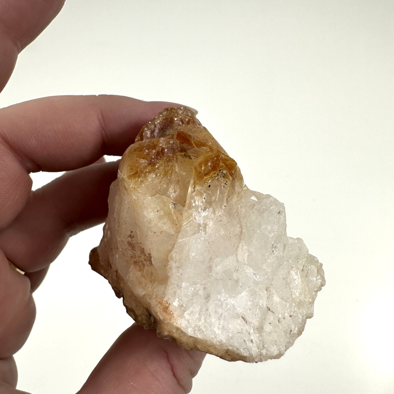 Brndt Citrin klynge B 