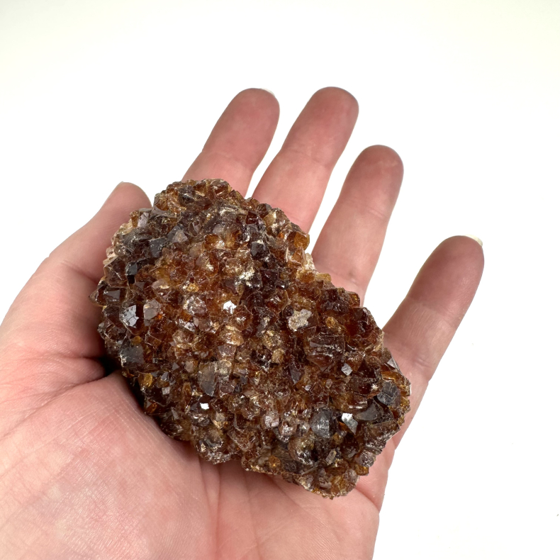 Brndt Citrin klynge A 