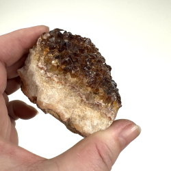 Brndt Citrin klynge A 