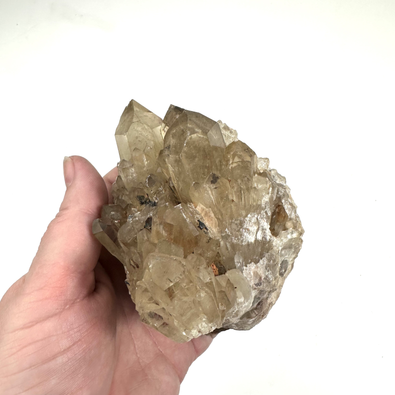 Congo Citrin klynge D 