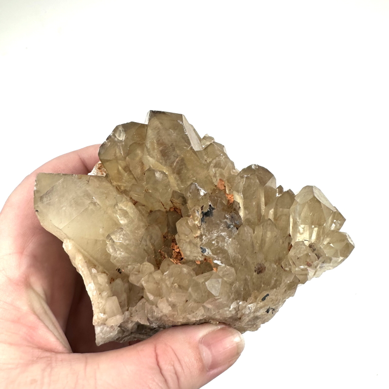 Congo Citrin klynge D 