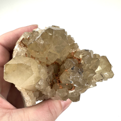 Congo Citrin klynge D 