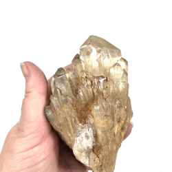 Congo Citrin klynge C 