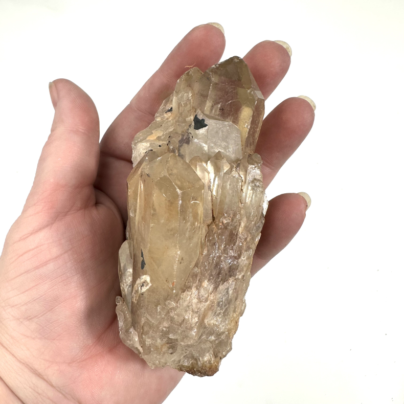 Congo Citrin klynge B 