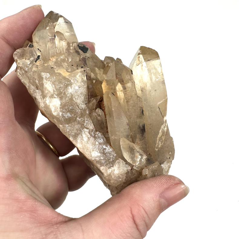 Congo Citrin klynge B 